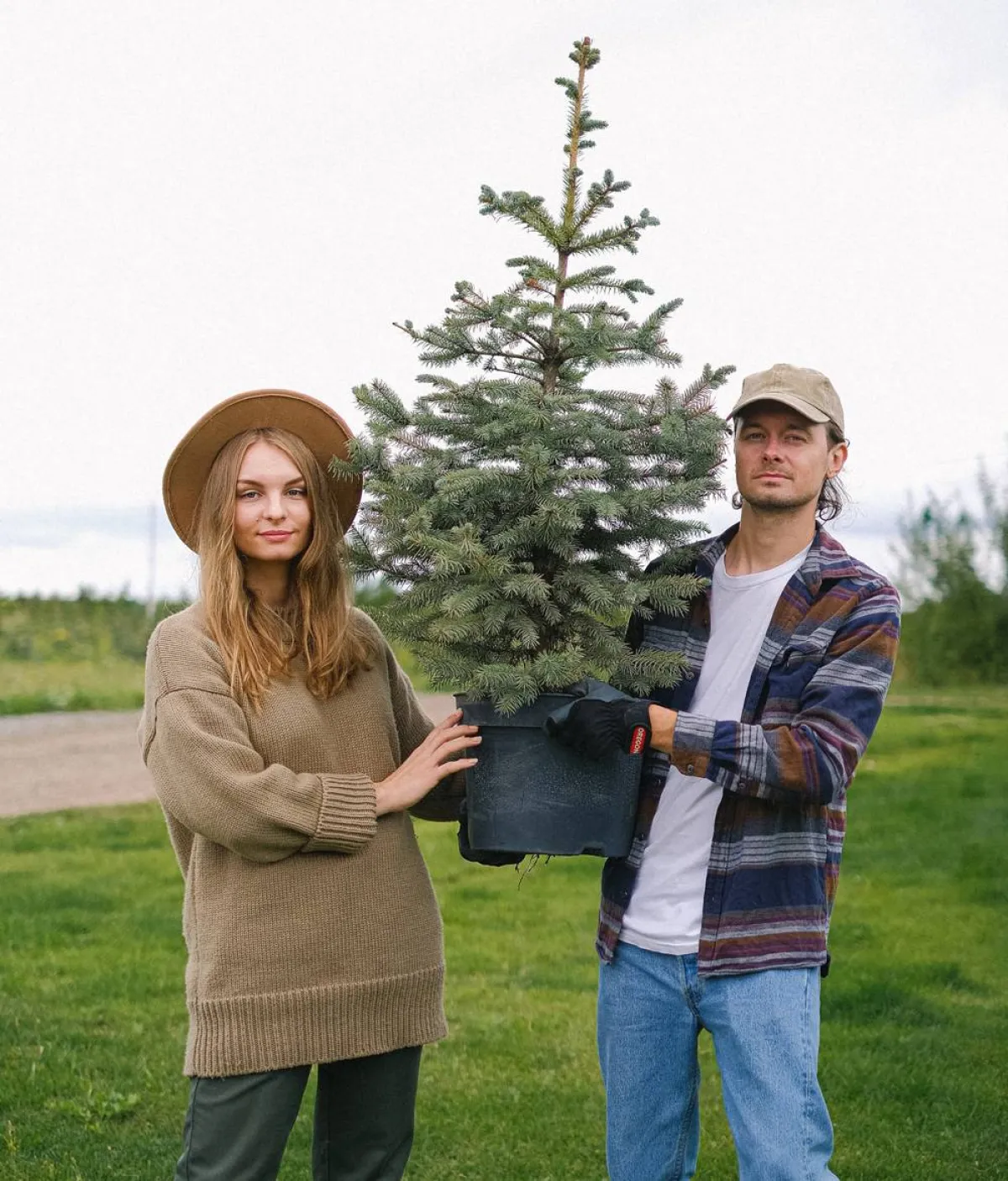 النباتات تساعدك على النمو وليست مجرد عامل جمالي.