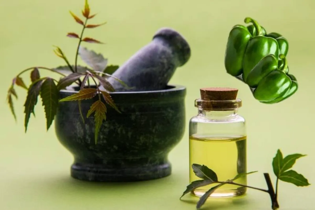 وصفات طبيعية للعناية بالشعر