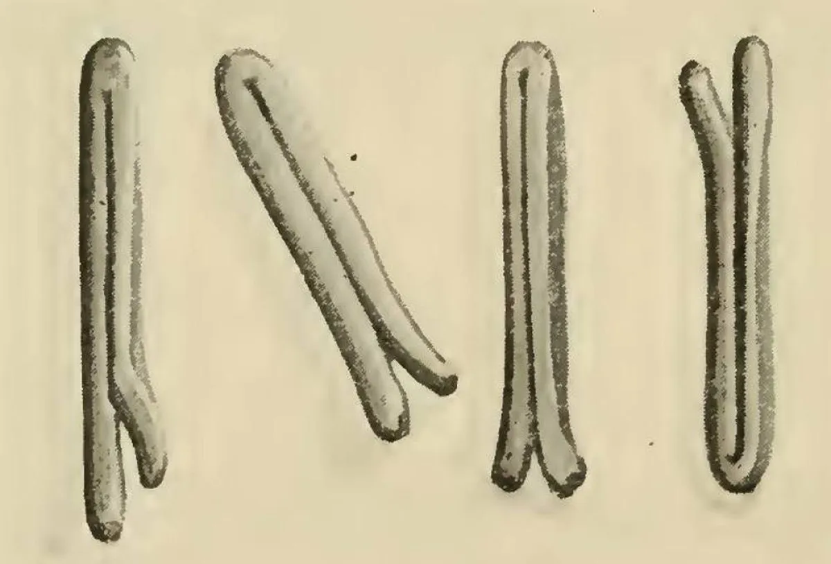اغرب العملات القديمة في العالم