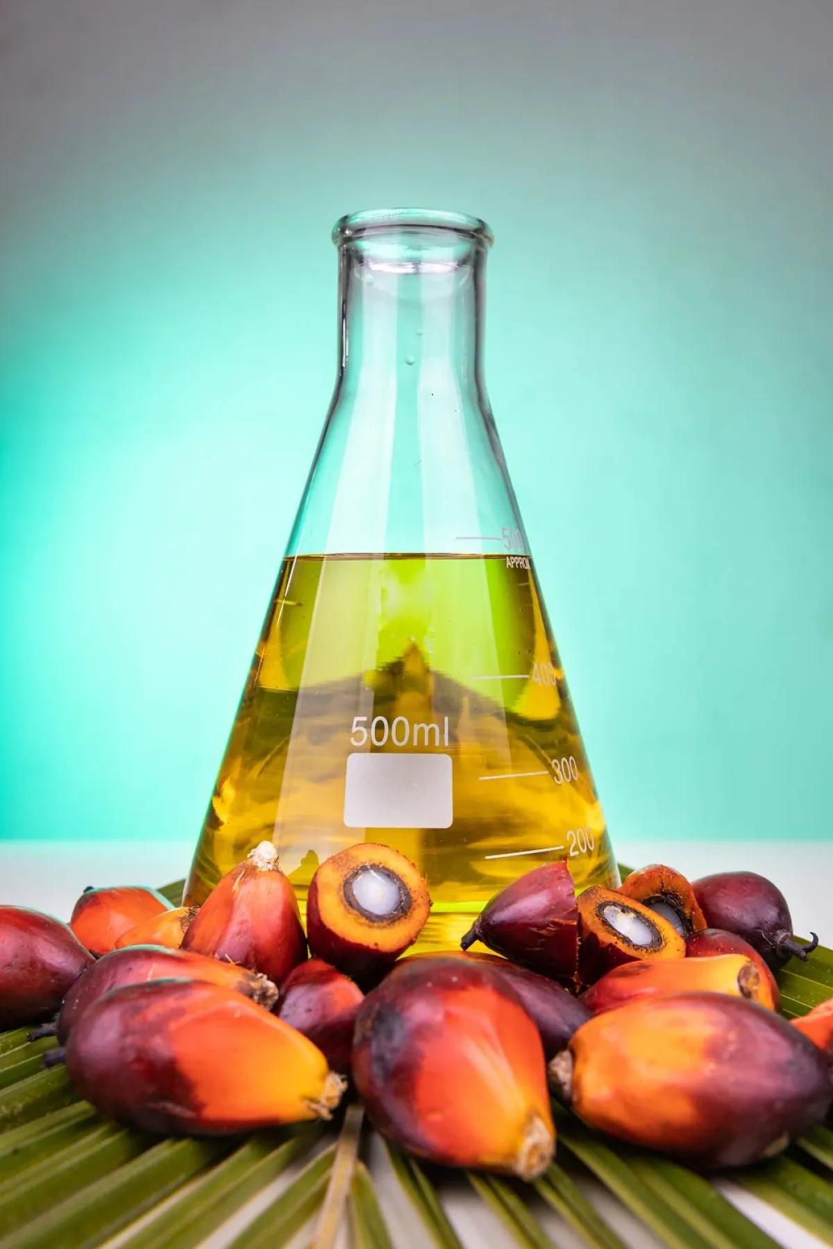 فوائد زيت النخيل الأحمر للشعر