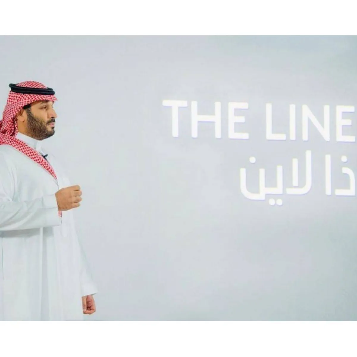 مدينة ذا لاين السعودية