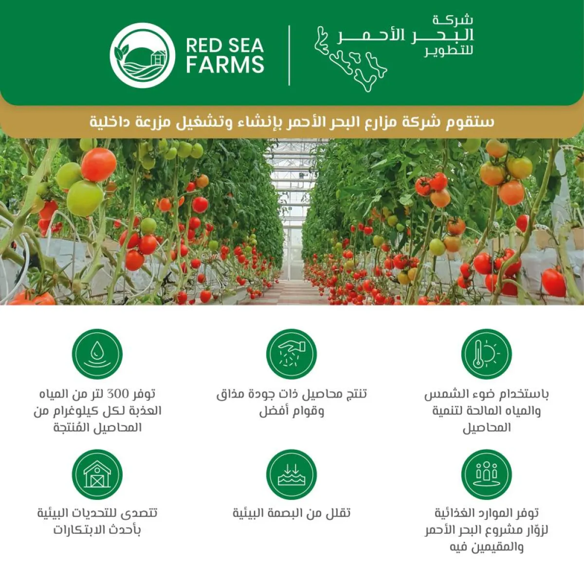 مزارع البحر الأحمر- الصورة من موقع شركة البحر الأحمر الإلكتروني