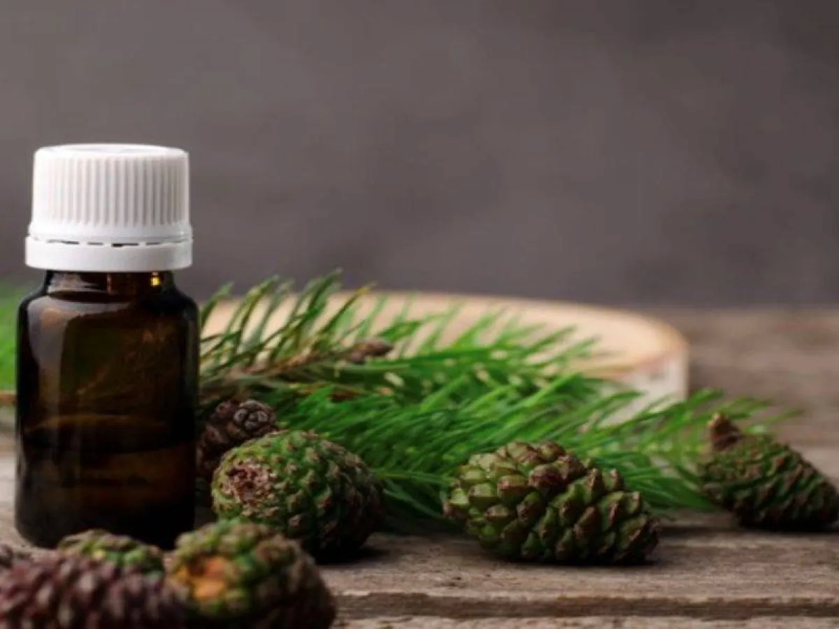 زيت خشب الارز للشعر