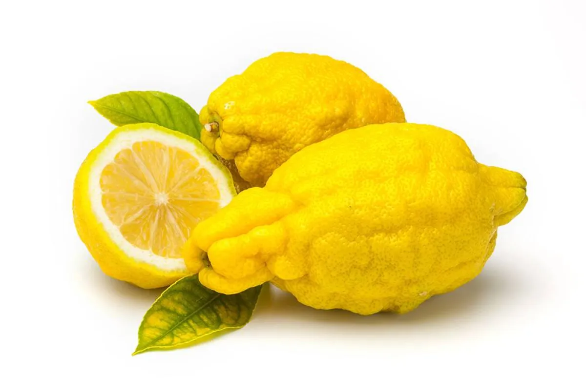 فوائد صحية عديدة لفاكهة الترنج