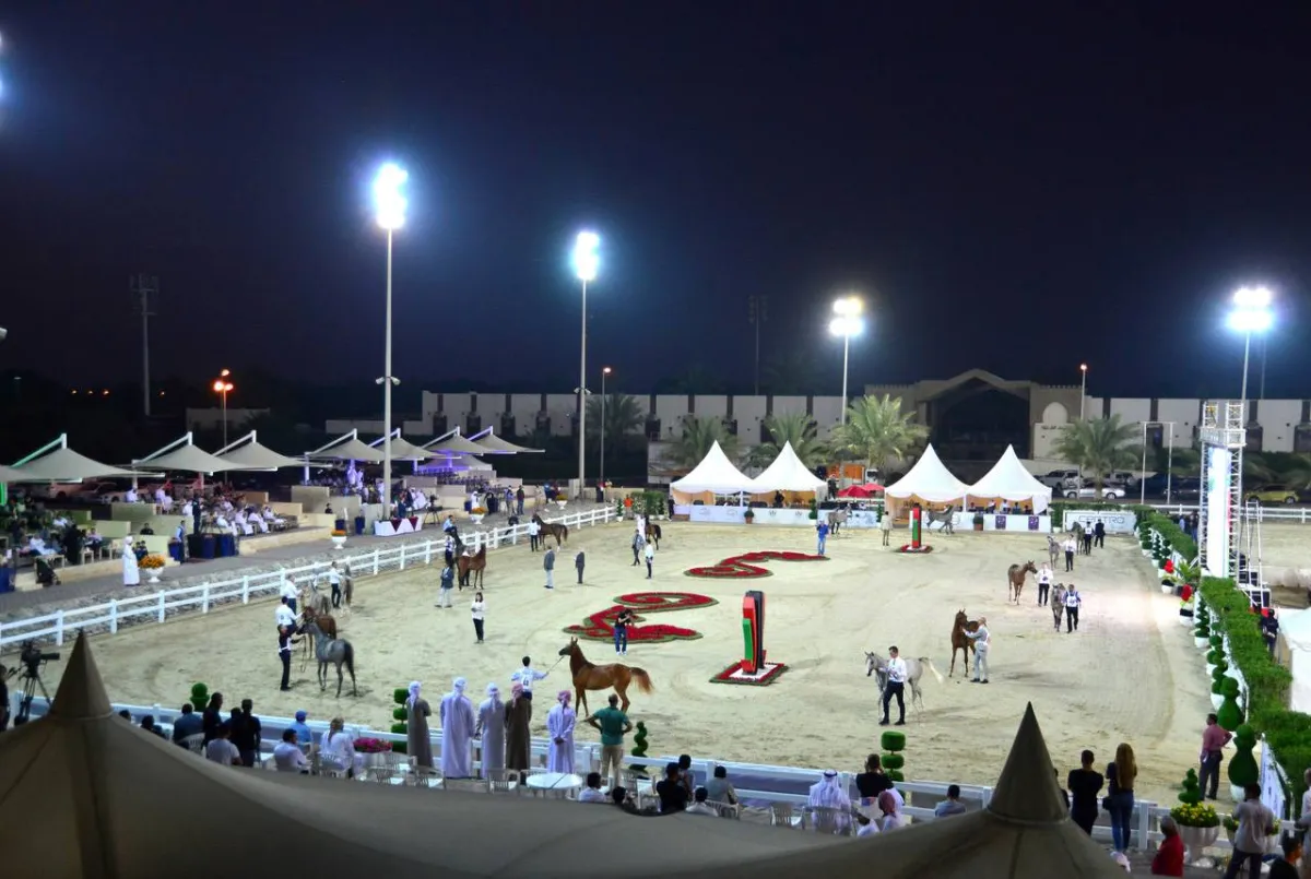 مهرجان الشارقة للجواد العربي- الصورة من "وام"