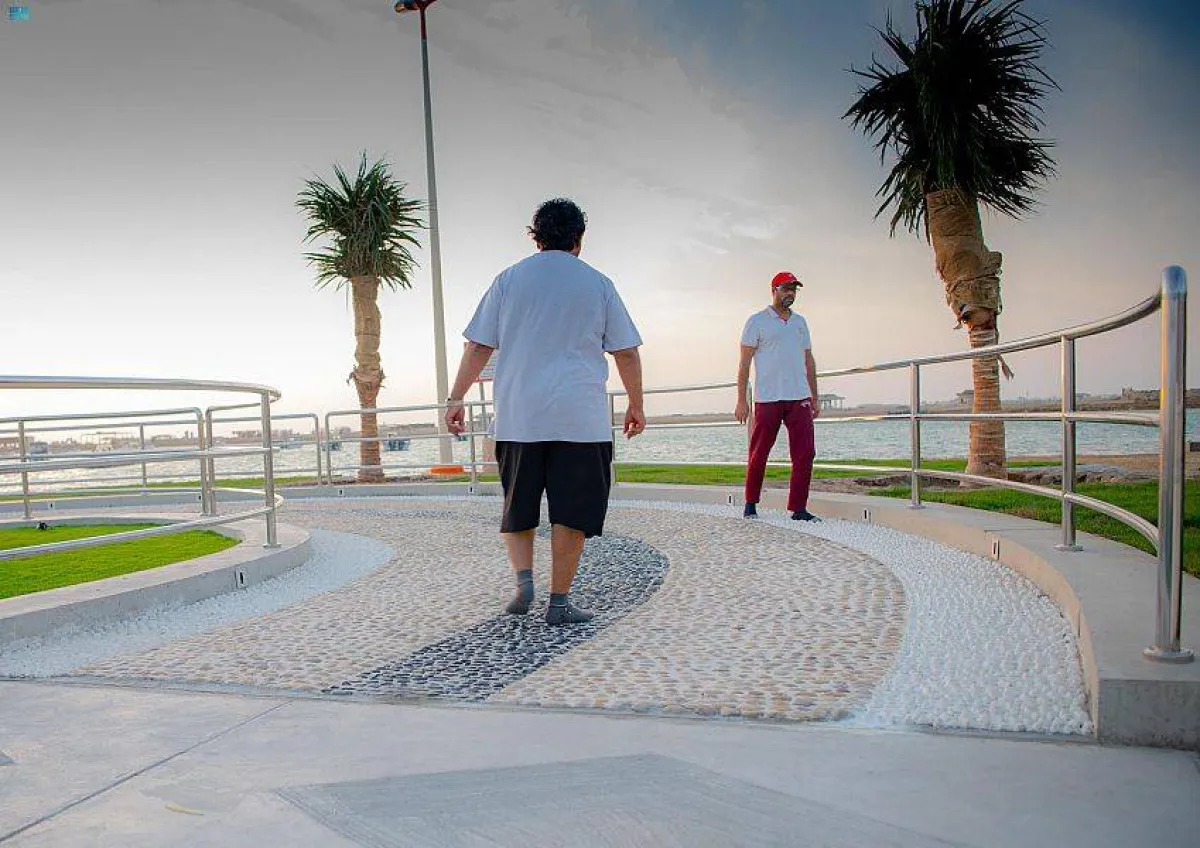 الممر الصحي بينبع