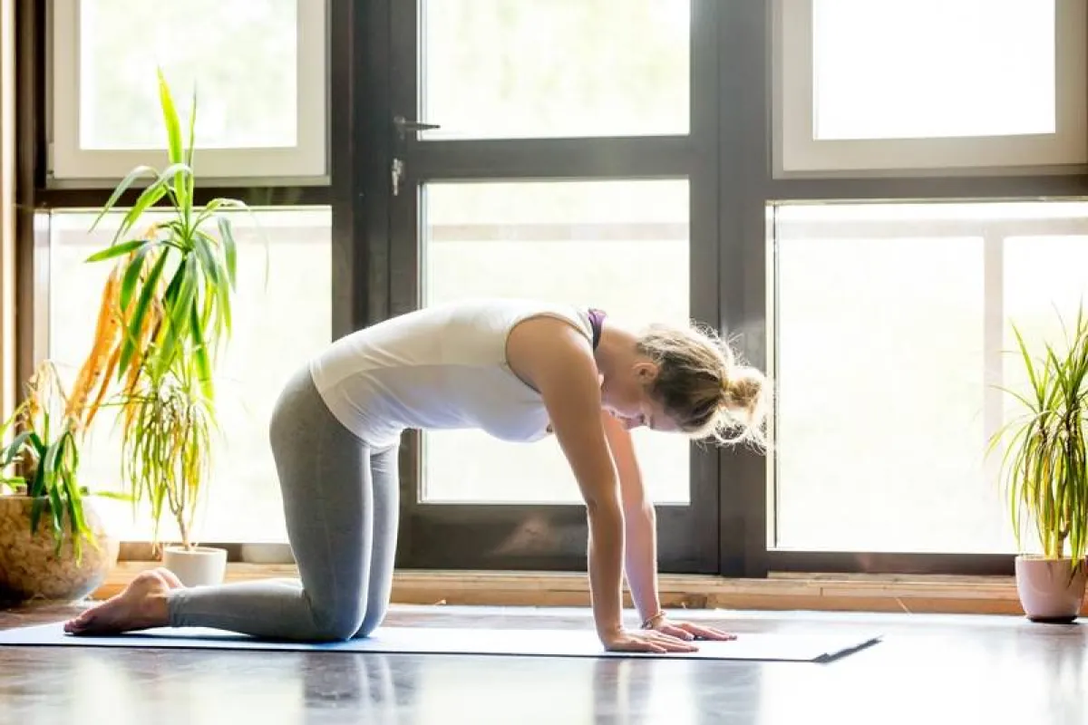 تمارين الإطالة