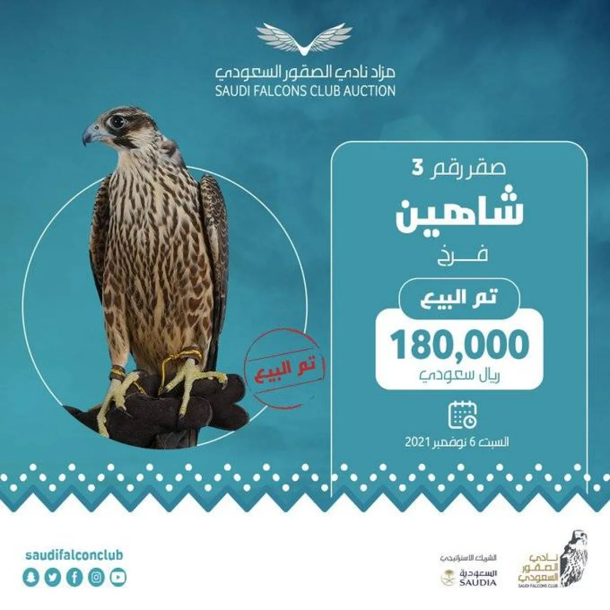 الليلة الـ25 لمزاد نادي الصقور السعودي الثاني - الصورة من موقع نادي الصقور السعودي على تويتر 