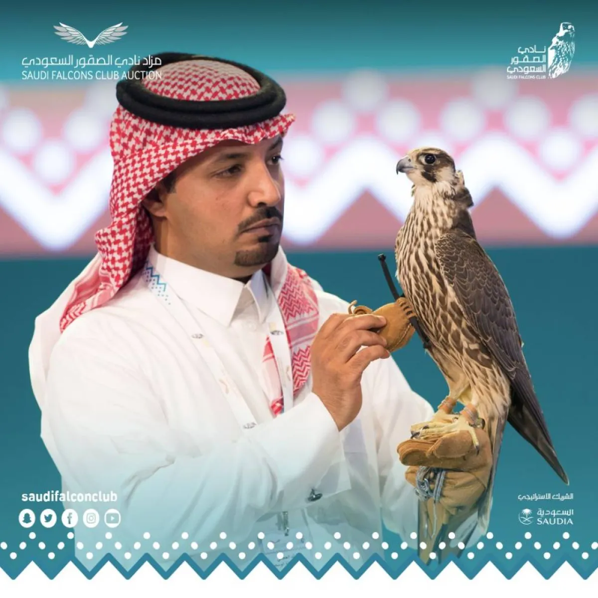 الليلة الـ25 لمزاد نادي الصقور السعودي الثاني - الصورة من موقع نادي الصقور السعودي على تويتر 