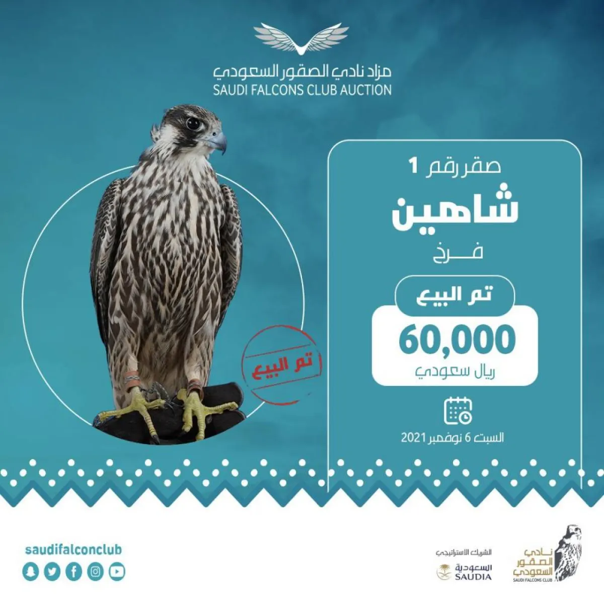 الليلة الـ25 لمزاد نادي الصقور السعودي الثاني - الصورة من موقع نادي الصقور السعودي على تويتر 