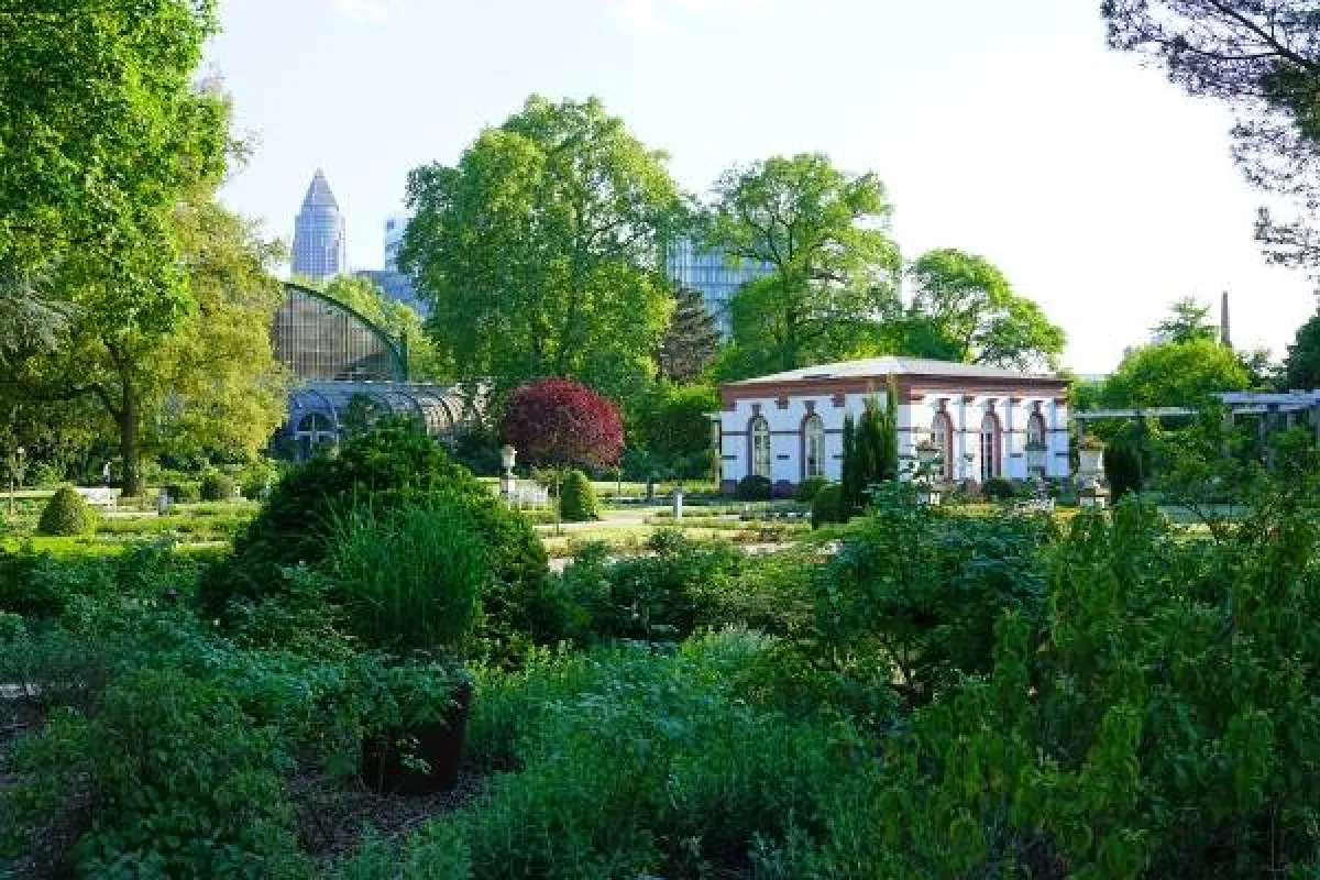 حديقة النخيل