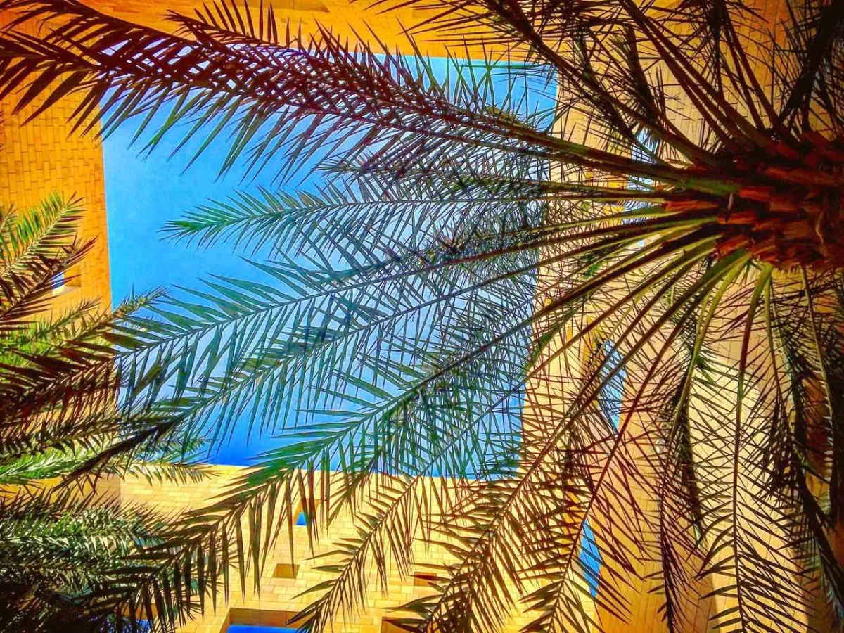 تضاريس السعودية ألهمتني