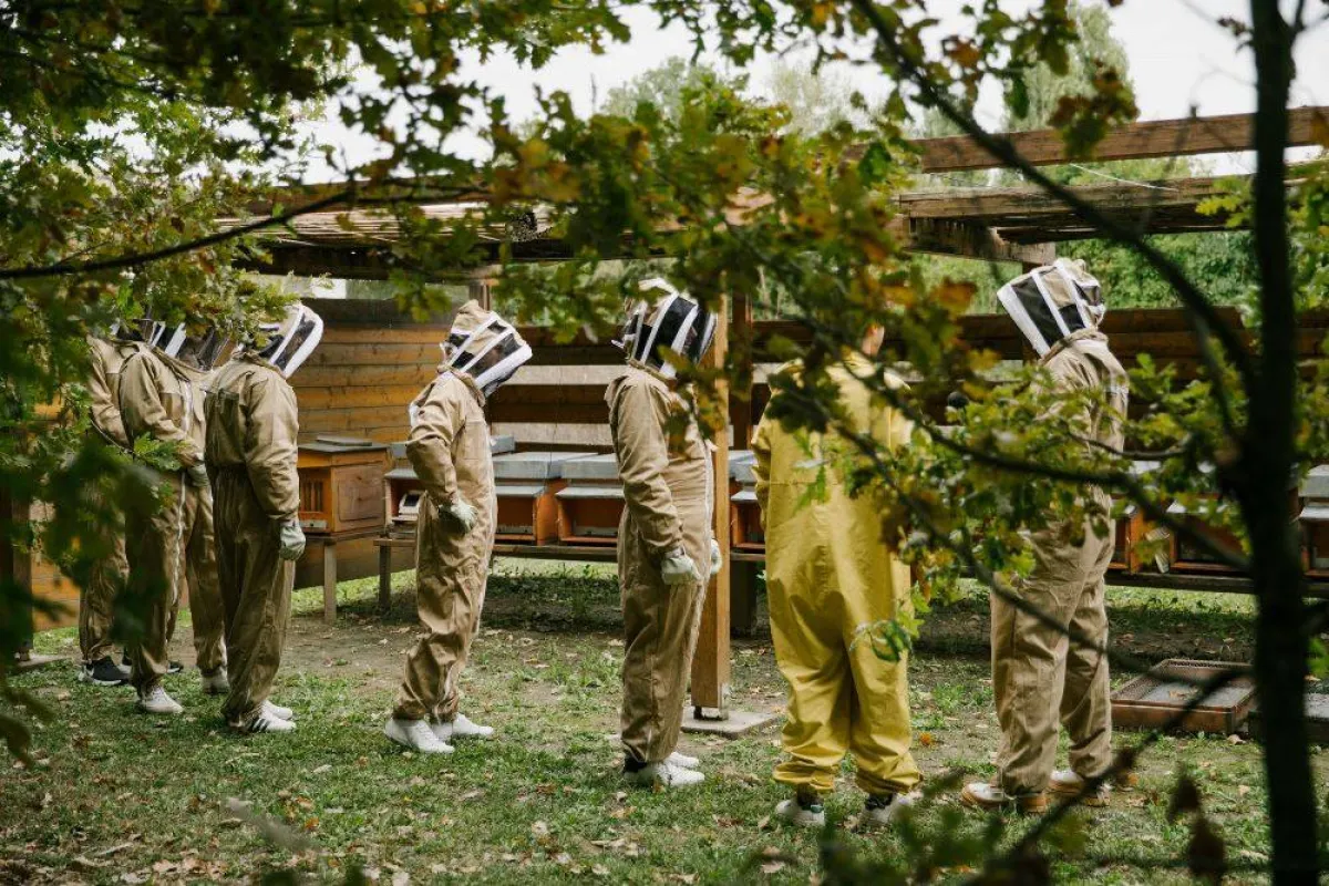  الاطلاع على المناحل