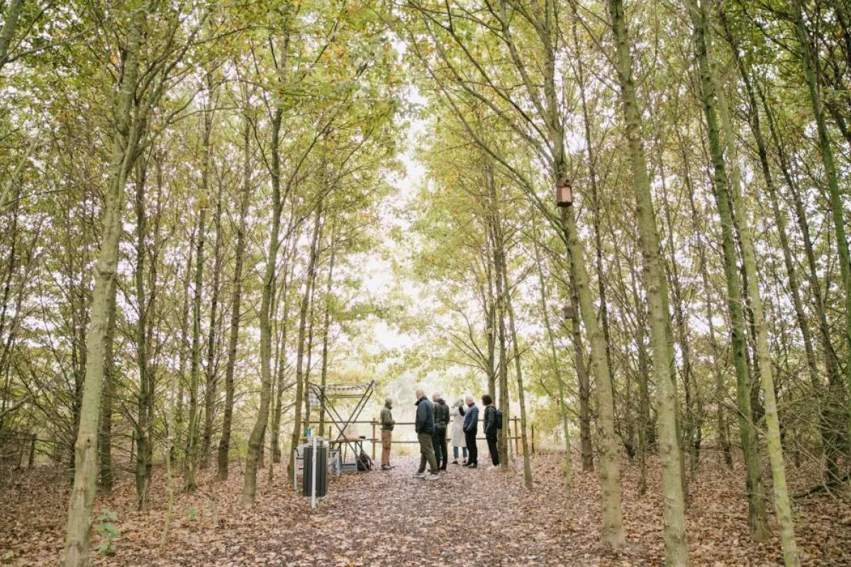 هنا تتم دراسة النباتات والأشجار