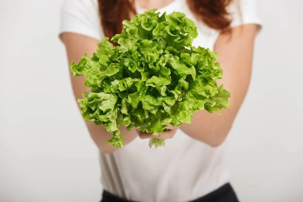 صفات الأبراج