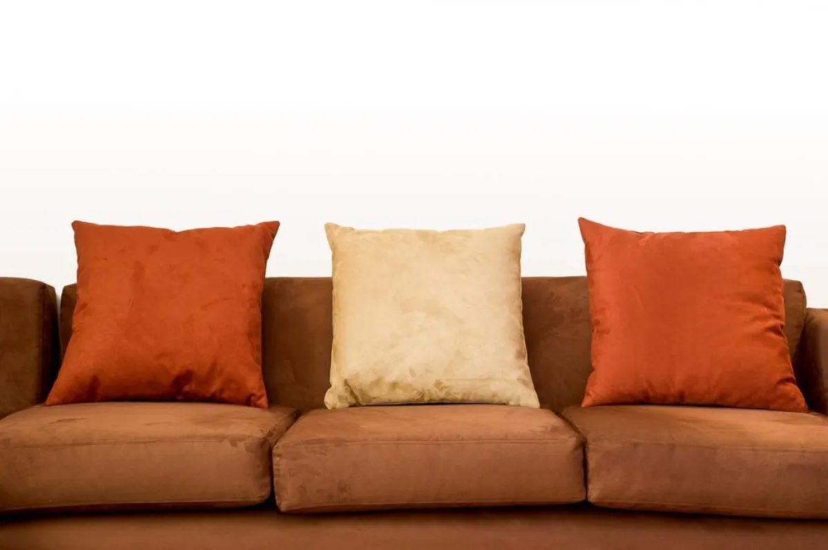  تنظيف الأريكة الشامواه