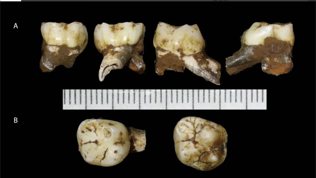 اكتشاف جمجمة صغيرة لإنسان في مكان غامض بجنوب أفريقيا 