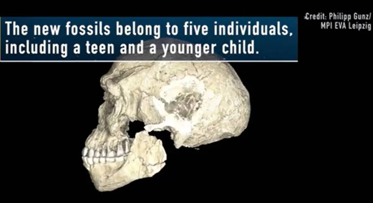 اكتشاف جمجمة صغيرة لإنسان في مكان غامض بجنوب أفريقيا 