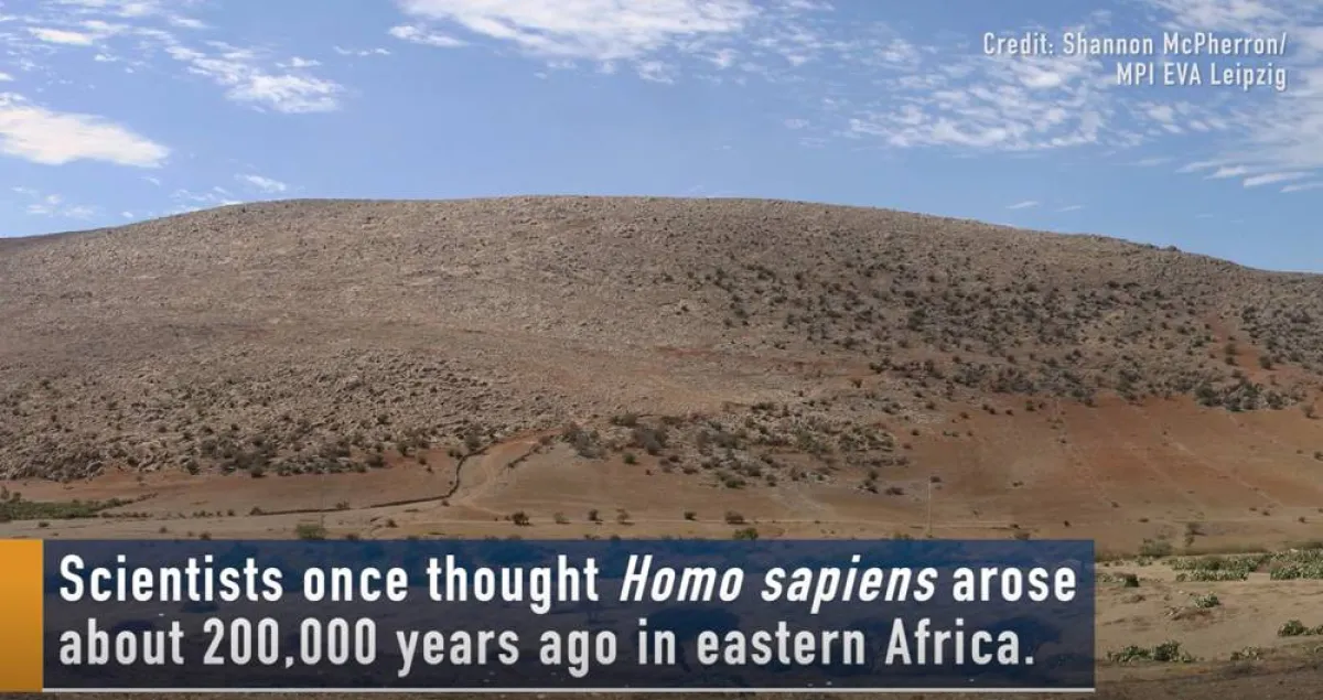 اكتشاف جمجمة صغيرة لإنسان في مكان غامض بجنوب أفريقيا 