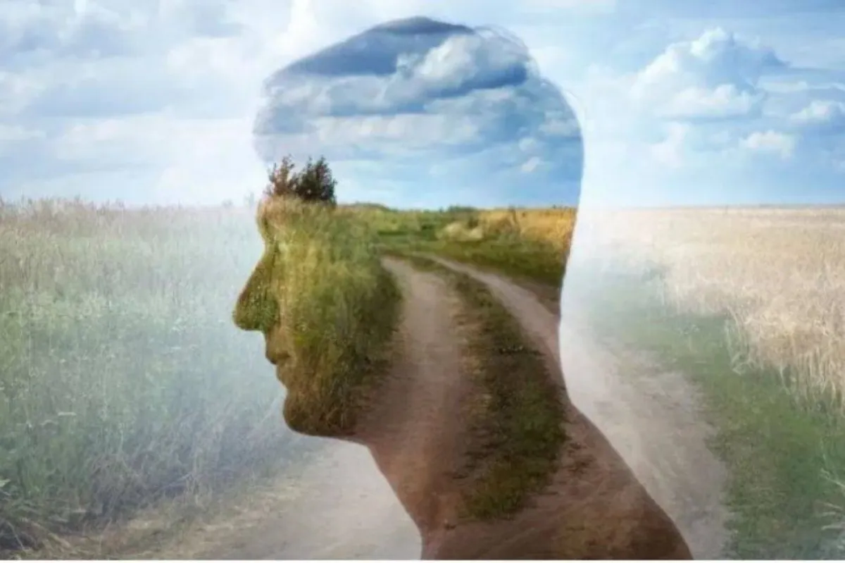 الفلسفة تعني الحكمة