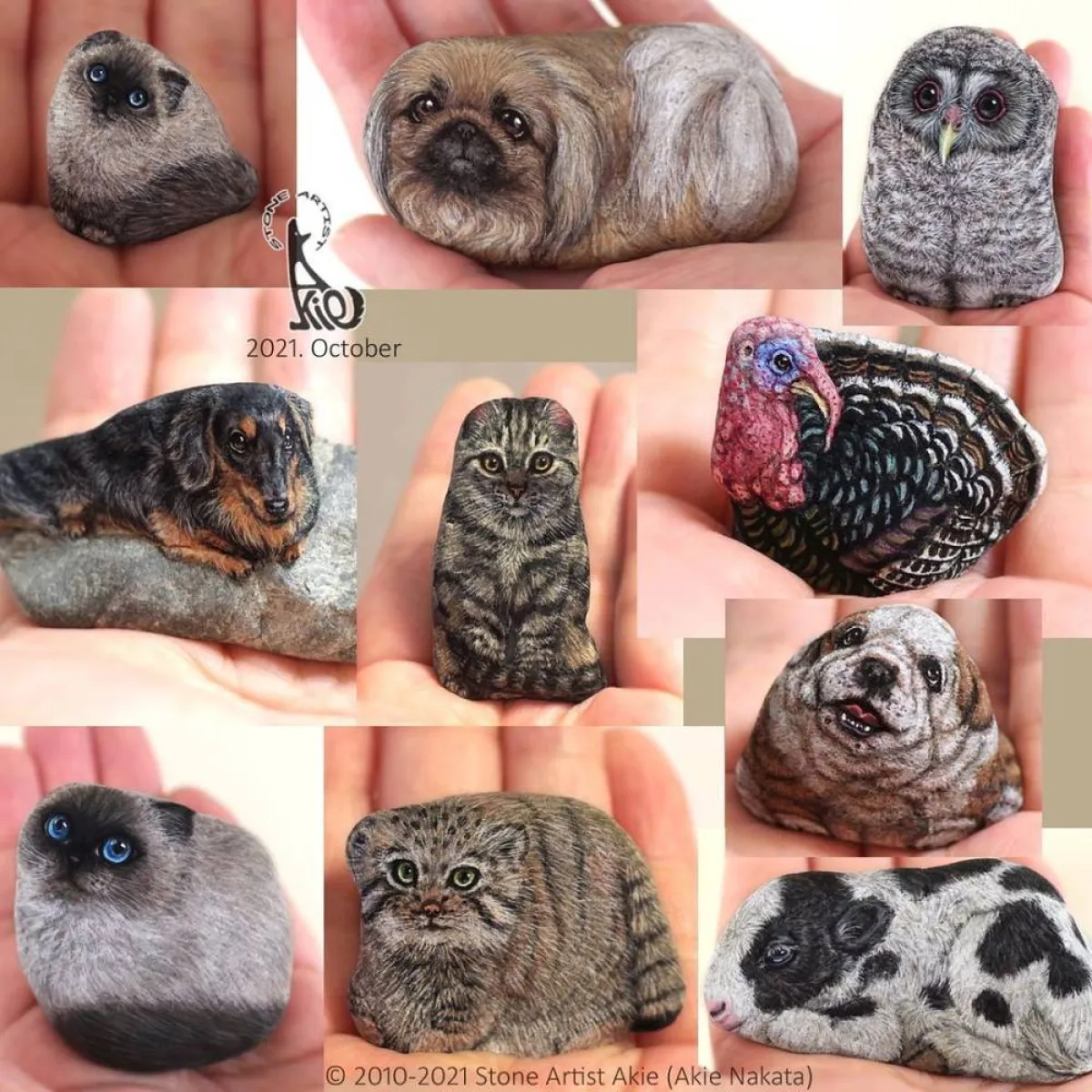 حيوانات على الحجر