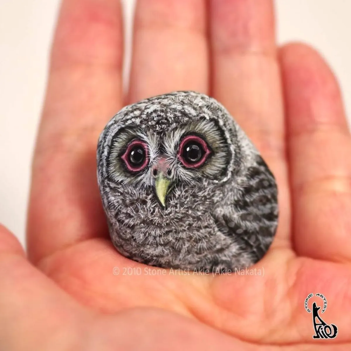 حيوانات على الحجر