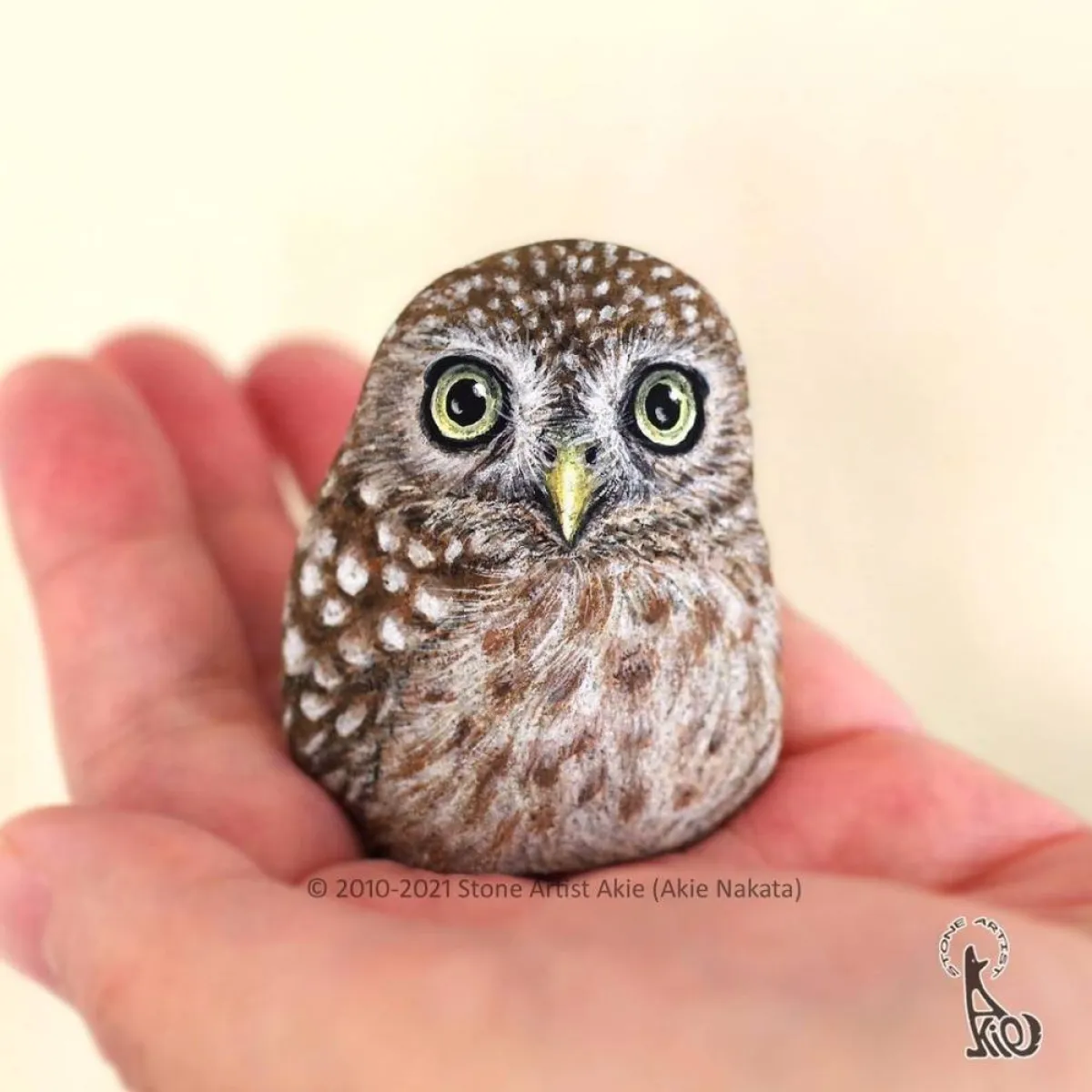 حيوانات على الحجر