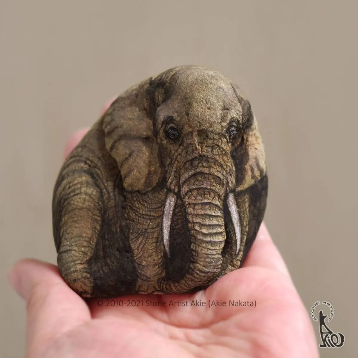 حيوانات على الحجر