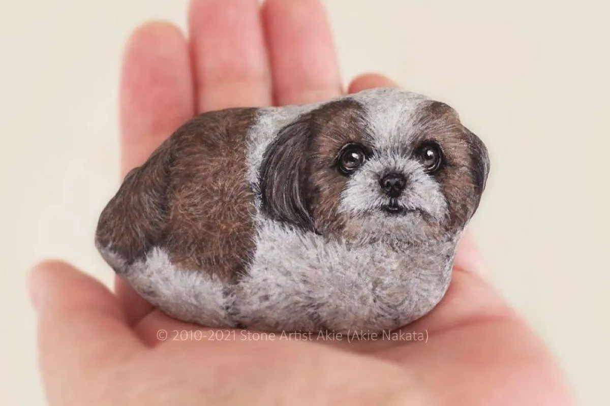 حيوانات على الحجر