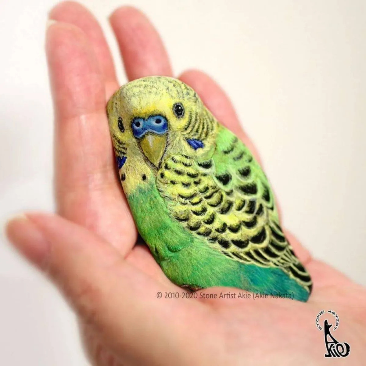 حيوانات على الحجر