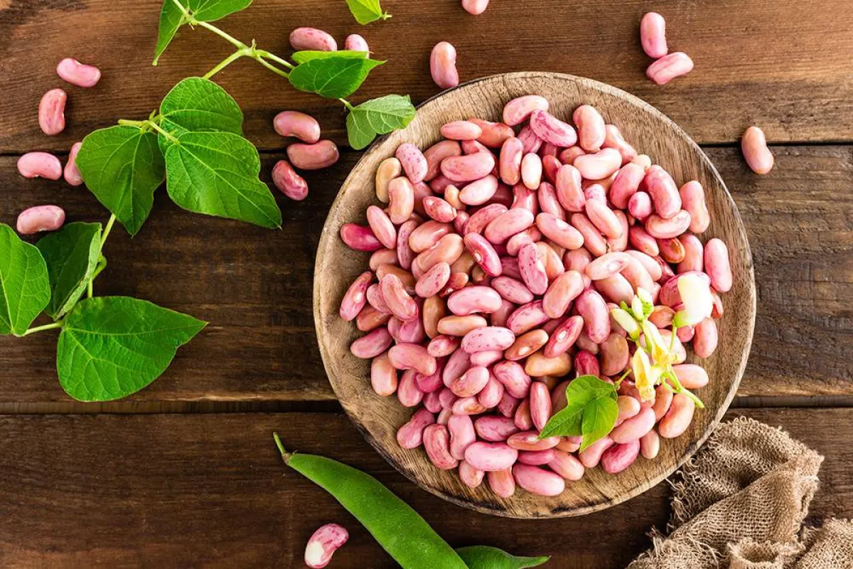 فوائد الفاصولياء للنساء منوّعة وعديدة