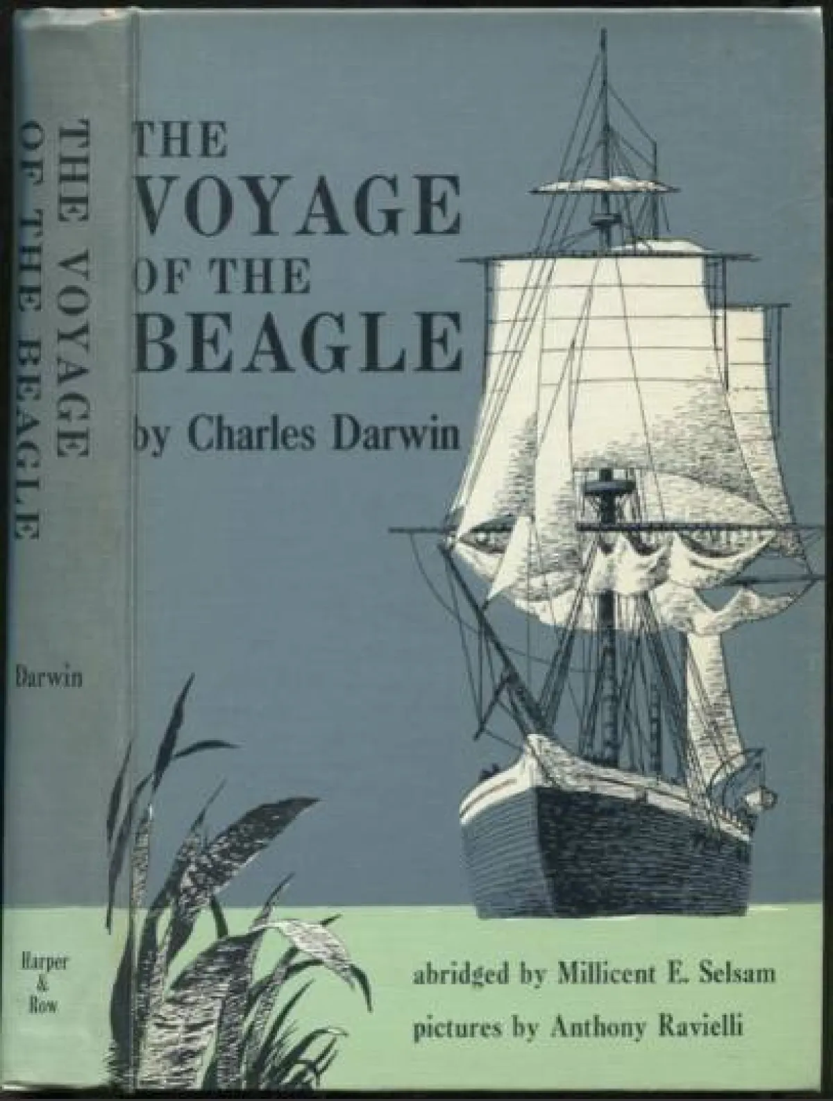 كتاب رحلة البيجل