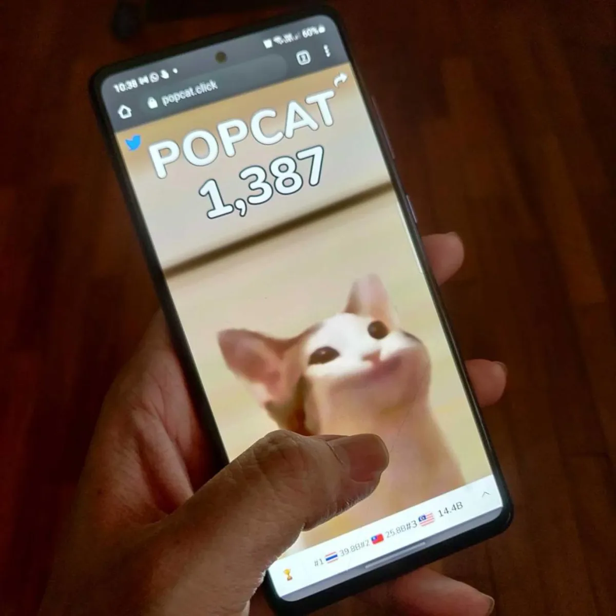 لعبة POPCAT الجديدة - الصورة من موقع Mashable SEA