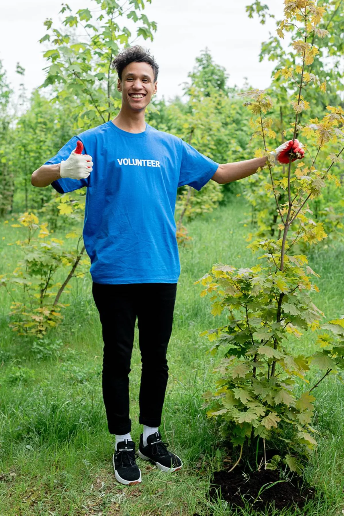 أمثال عالمية عن الأرض