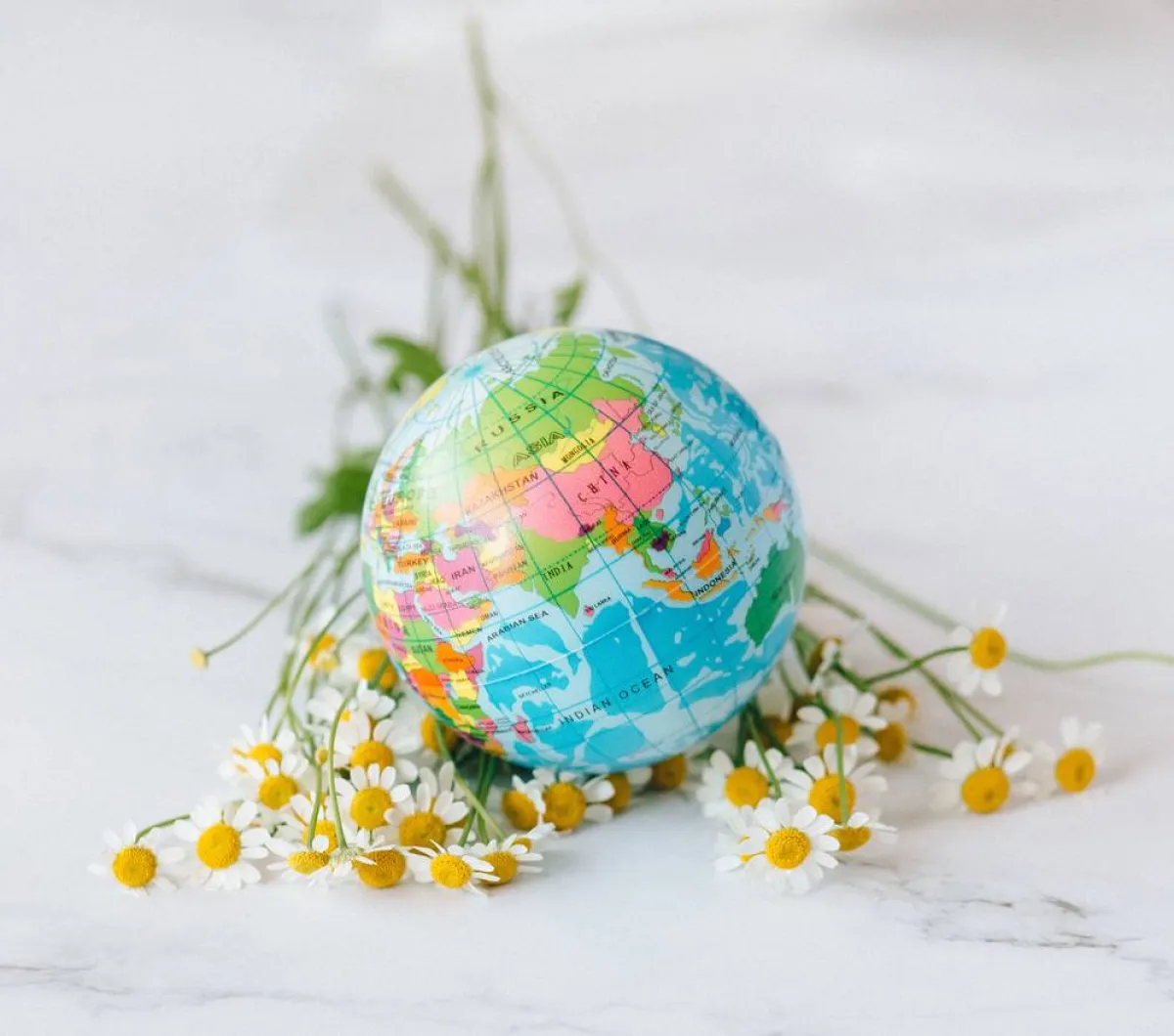 أمثال عالمية عن الأرض