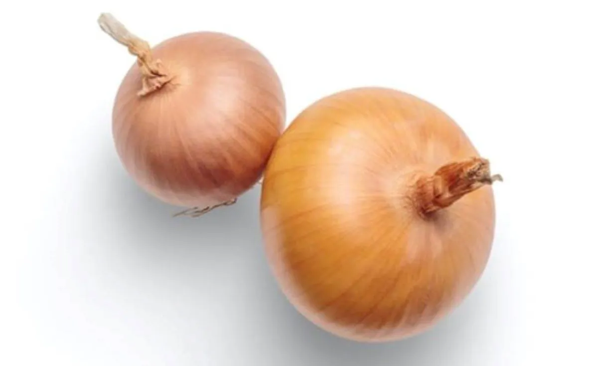 فوائد البصل الأحمر للنساء