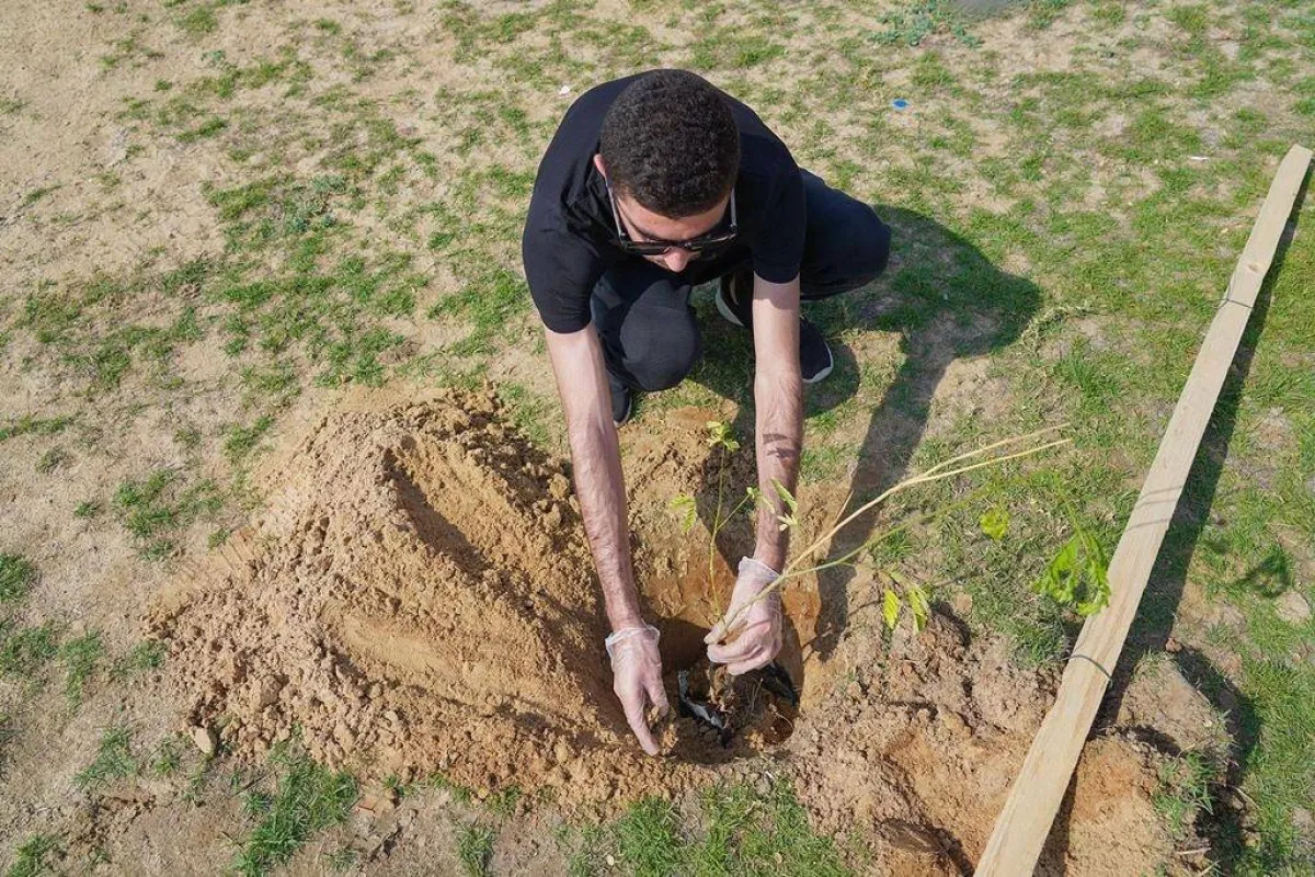 أحد الطلبة أثناء قيامة بزراعة شجرة ضمن مبادرة شرقية أجمل (الصورة من إدارة علاقات مؤسسة الأمير محمد بن فهد الإنسانية)