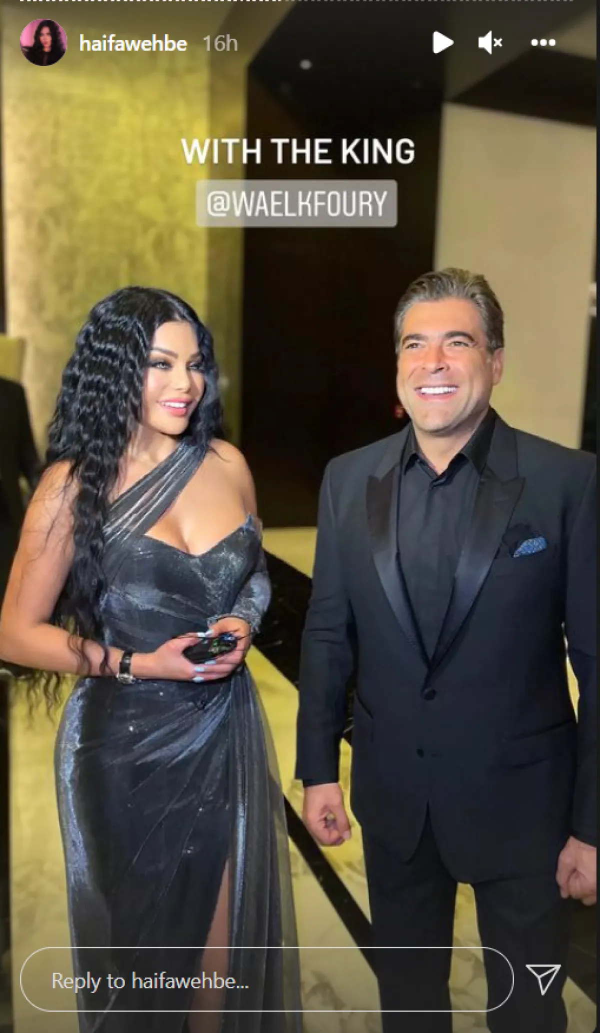 وائل كفوري وهيفاء وهبي - الصورة من ستوري حساب هيفا وهبي على انستغرام