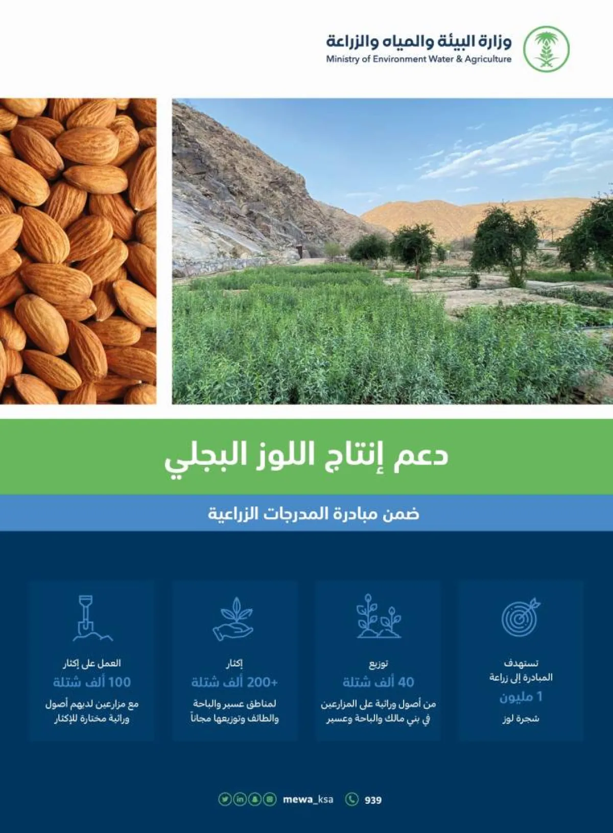 تعرف على جهود الوزارة في دعم إنتاج اللوز البجلي ضمن مبادرة المدرجات الزراعية