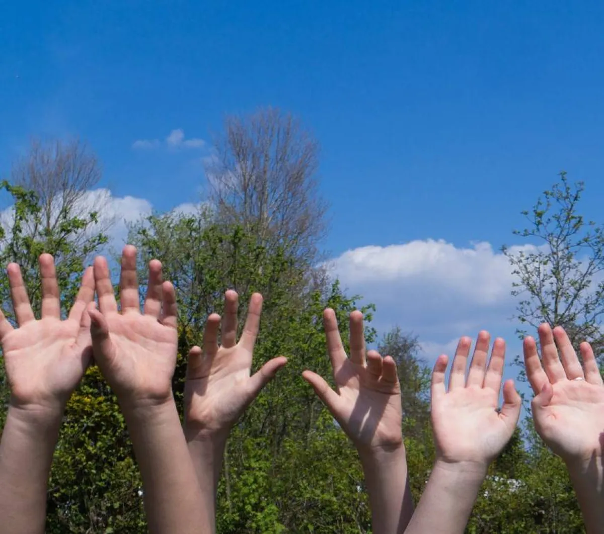 صورة تعبيرية لمناهضة التلوث