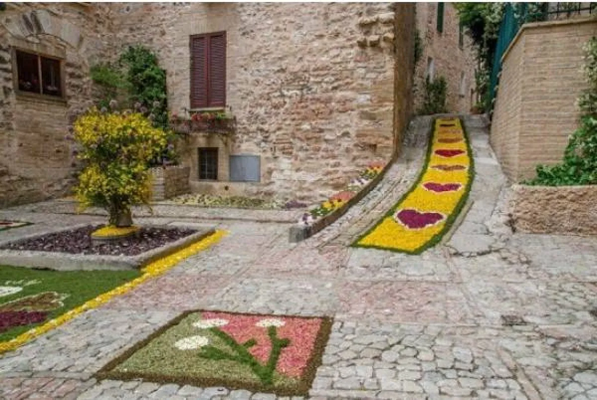 سجاجيد الأزهار فى إيطاليا