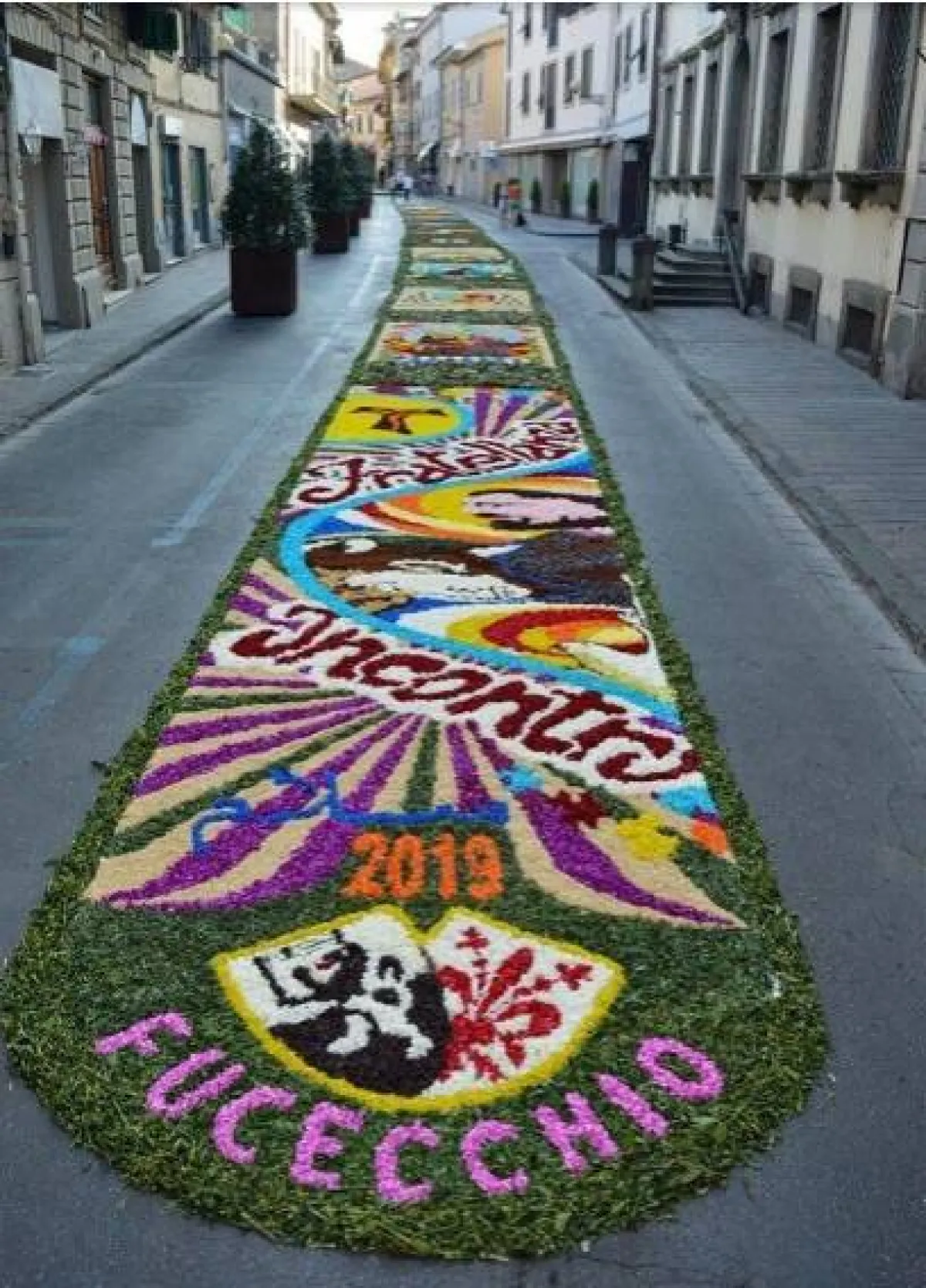 سجاجيد الأزهار فى إيطاليا