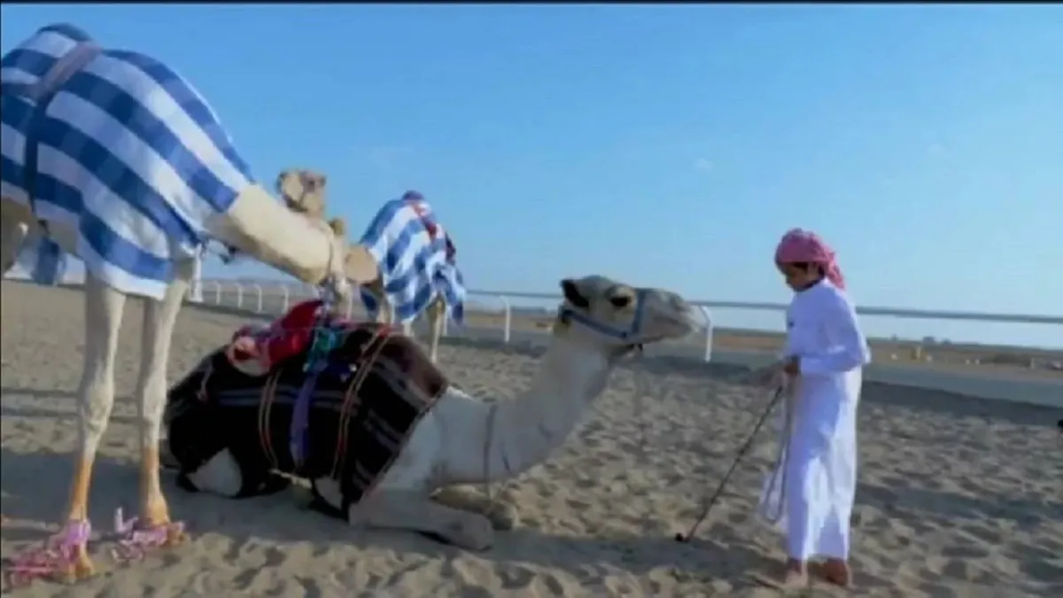 قصة أصغر هجّان في تبوك