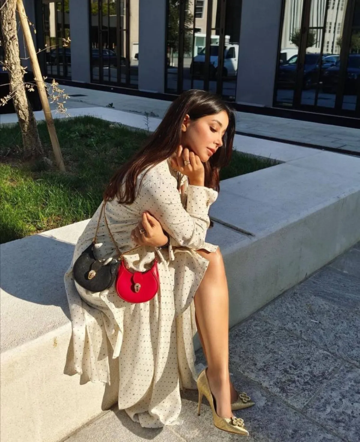 حقائب أسيل عمران