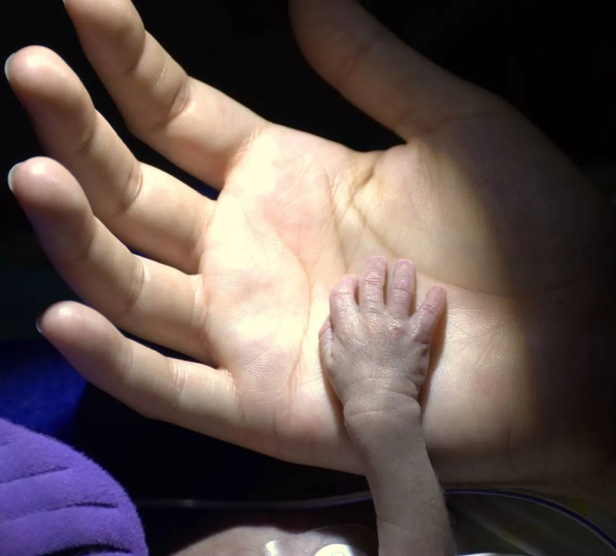 صورة ليد الخديج