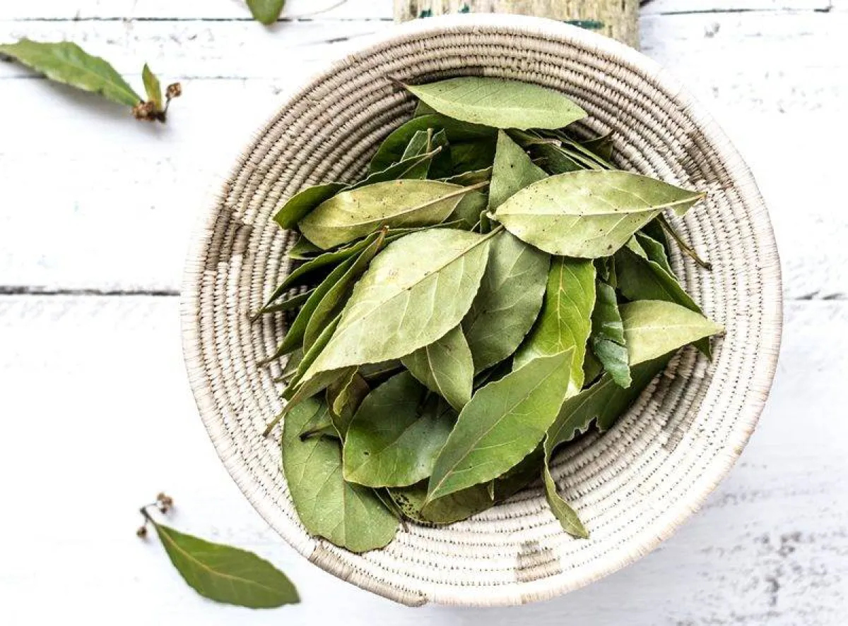 جرّبي ماء الغار