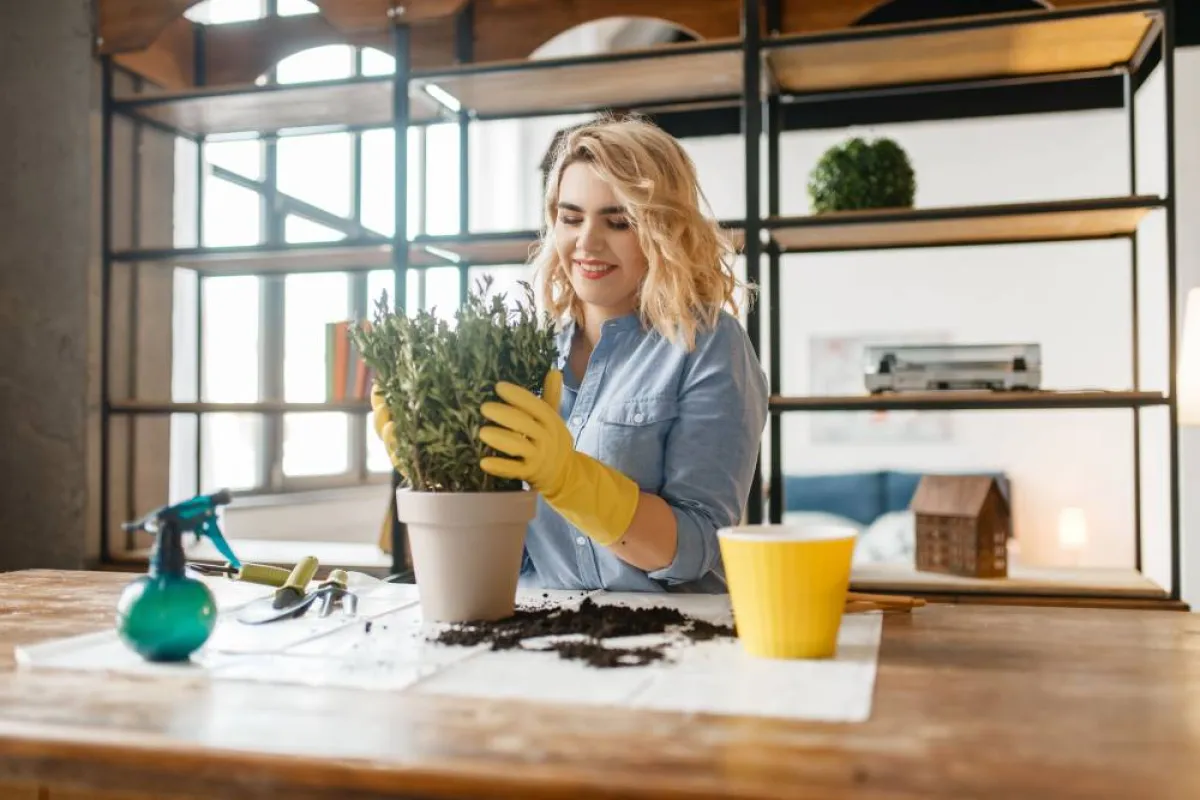 تزيين المكتب بالنباتات محفّز على العمل