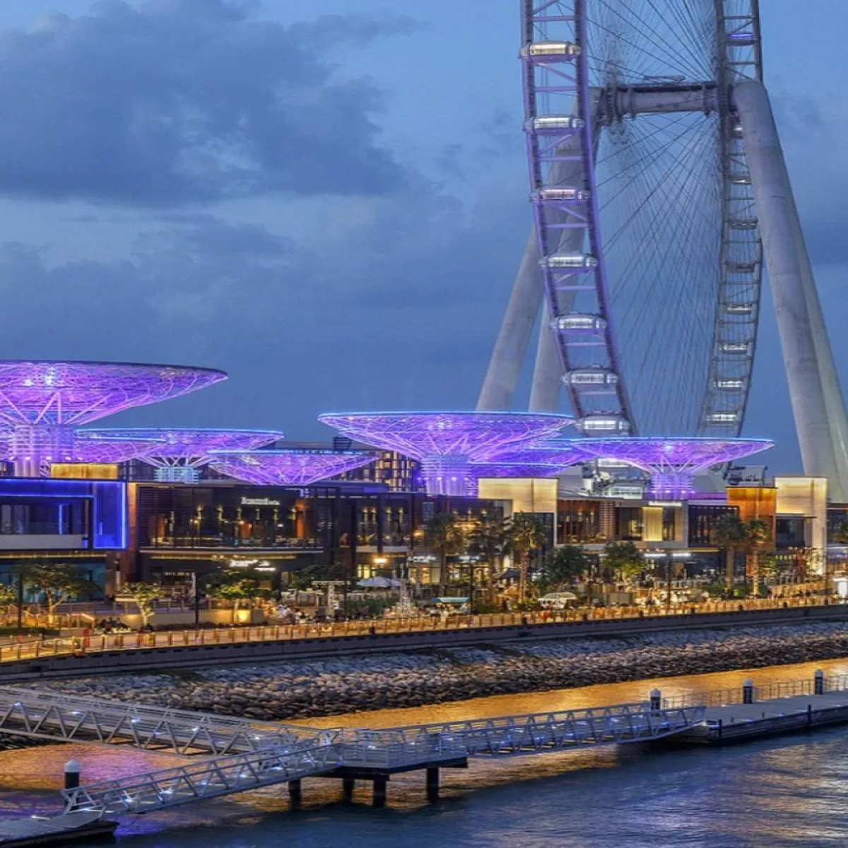 بلوواترز دبي