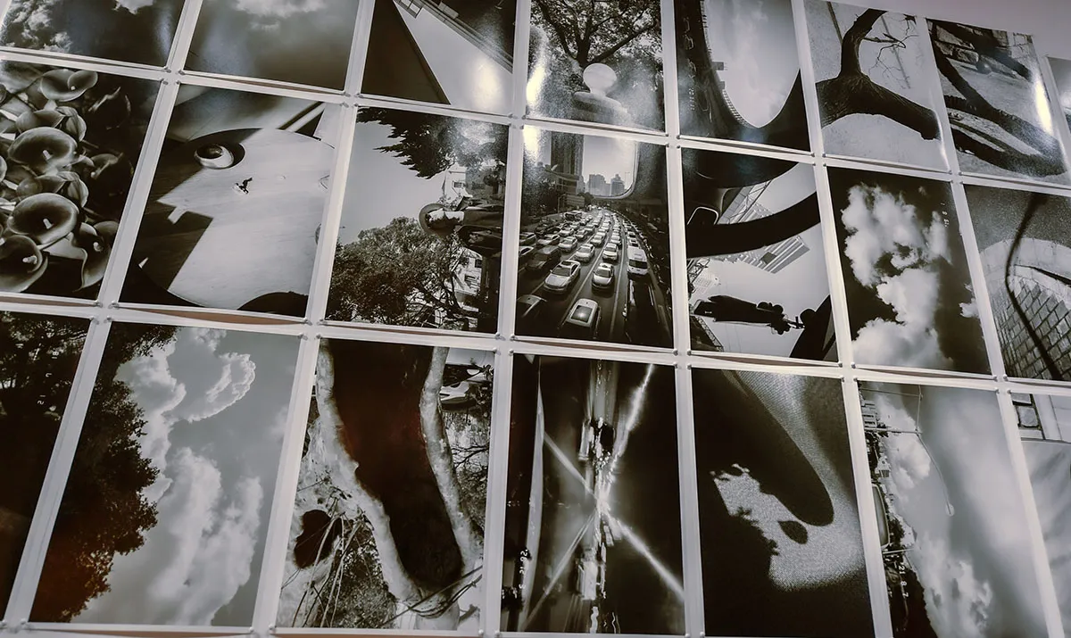 إبراز العديد من المواهب الفنية