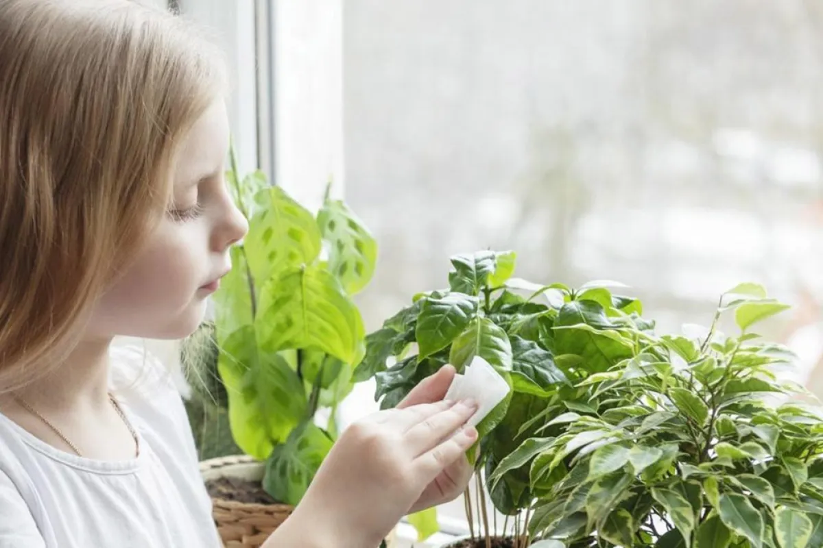 صورة لفتاة تنسق الأزهار